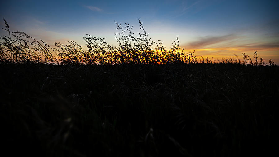Beachgrass Sunset Photograph by Pelo Blanco Photo