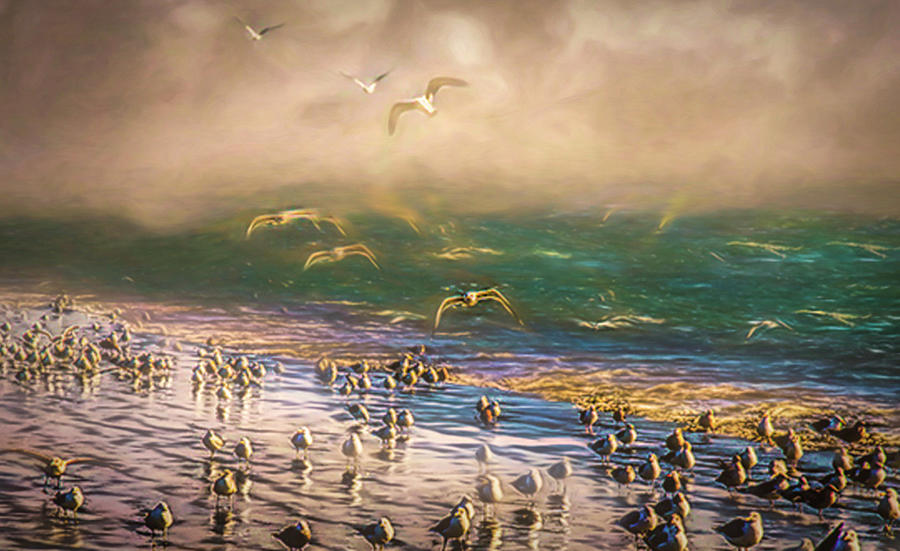 Beachgulls 2 Mixed Media by Joseph Hollingsworth