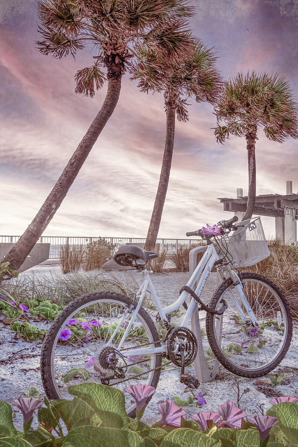 Beachhouse Bike in the Morning Glories Photograph by Debra and Dave Vanderlaan