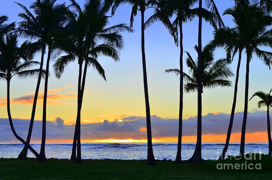Beachwalk Sunrise In Kapaa Hawaii Photograph by Mary Deal