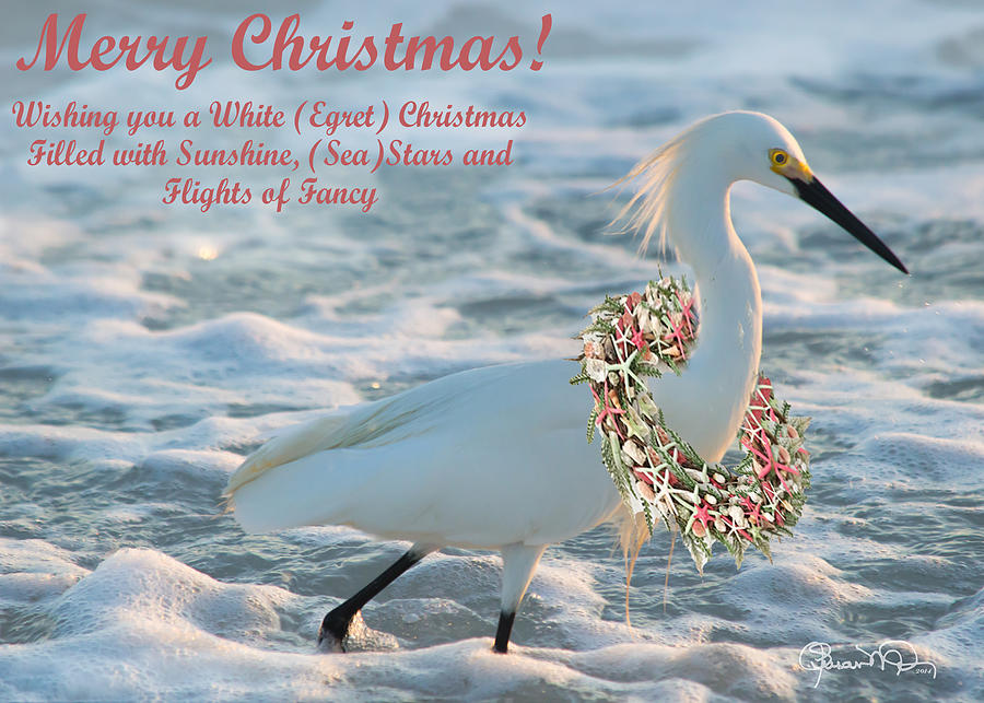 Beachy Christmas - Ready for Custom Text Photograph by Susan Molnar