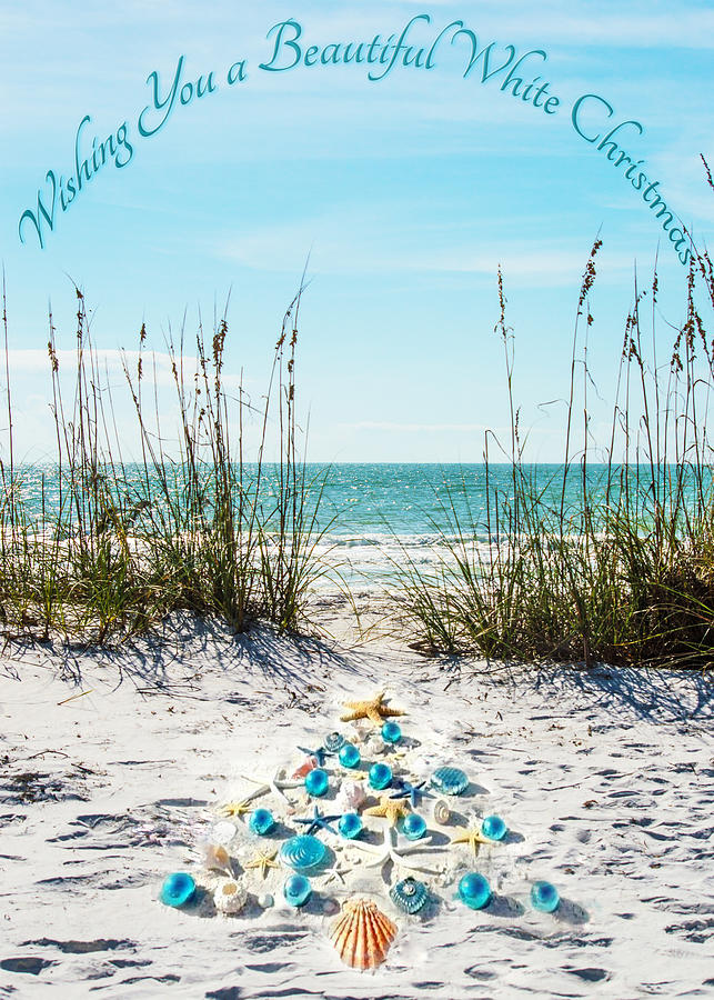 Beachy Christmas without Border Photograph by Susan Molnar