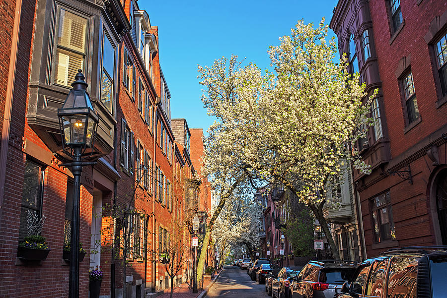 Beacon Hill Beautiful Spring Trees on Pinckney Street in Boston Massachusetts Photograph by Toby McGuire