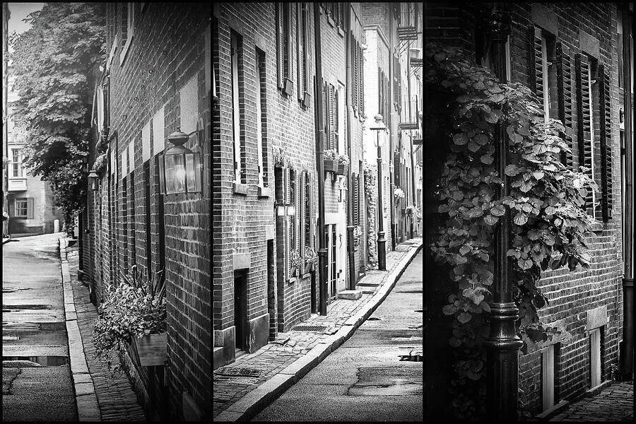 Beacon Hill Boston Vintage Trio Black and White  Photograph by Carol Japp