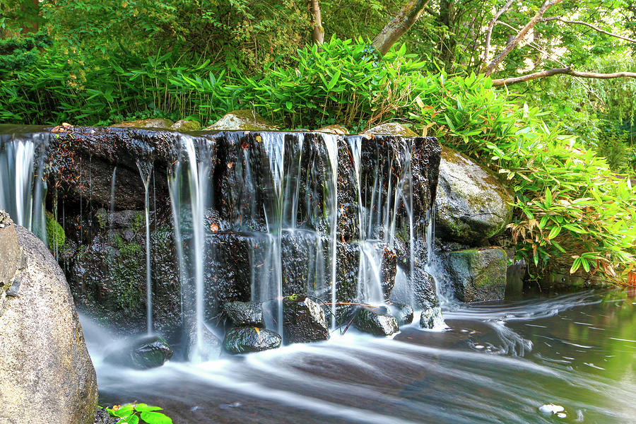 Beacon Hill Park waterfall Photograph by Randy Bradley