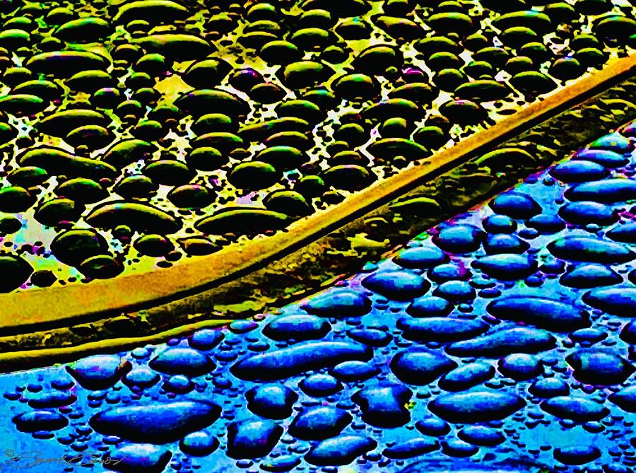 Beading Water Photograph by Gerald Gisondi - Fine Art America