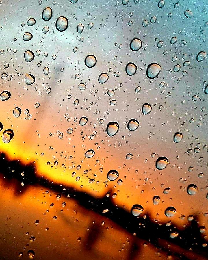 Rain Photograph - Beads Of The Morning by Sarah Szymanski Rain Photograph - Beads Of The Morning by Sarah Szymanski