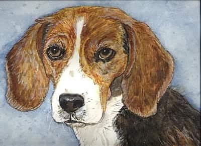 Beagle Painting by Alison Steiner