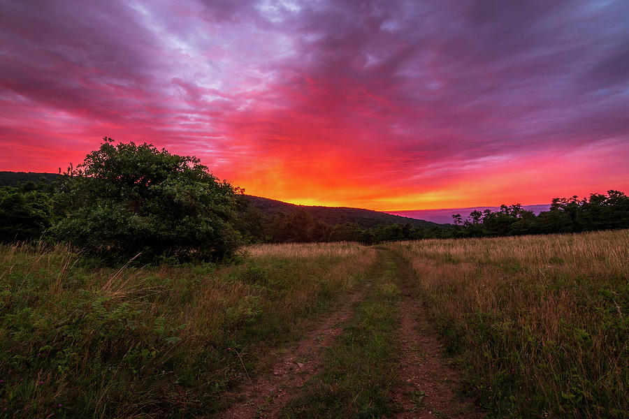 Shenandoah National Park Photograph - Beagle Gap Sunrise by Robby Batte