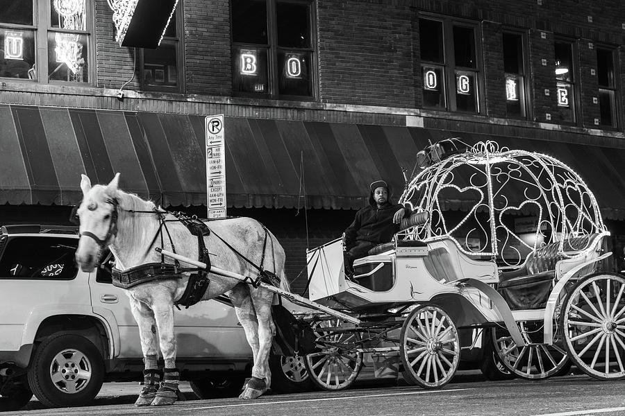 Beale Street Memphis Black and White Horse and Buggie Photograph by ...