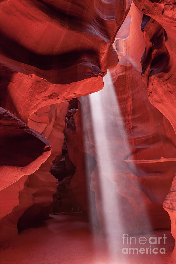 Beam of Light from Above Vertical Photograph by Bee Creek Photography ...