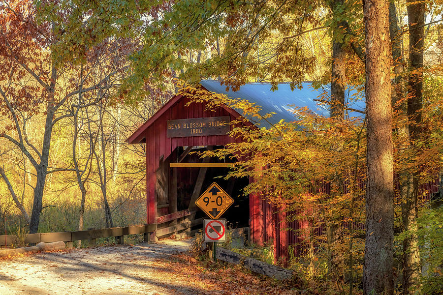 Bean Blossom Bridge in Autumn Photograph by Susan Rissi Tregoning