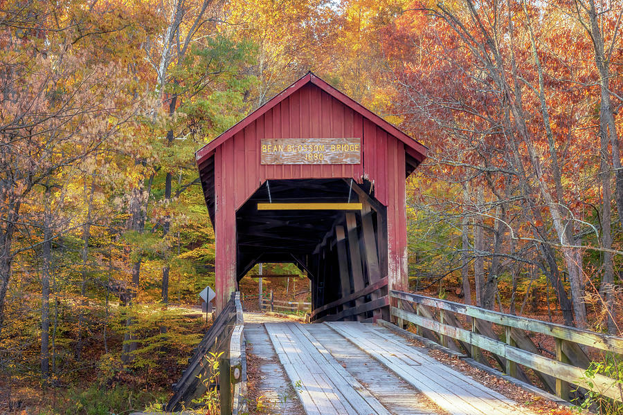 Bean Blossom Covered Bridge in Autumn Photograph by Susan Rissi Tregoning