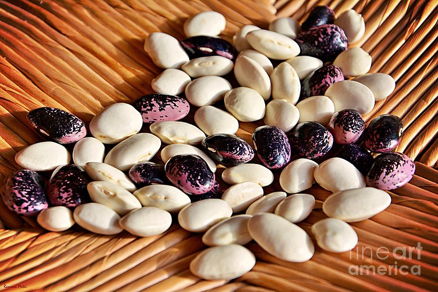 Beans on Colors  Photograph by Ramona Matei