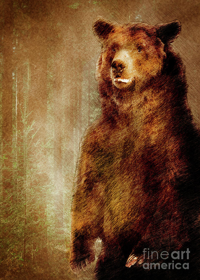 Bear animal #bear Digital Art by Justyna Jaszke JBJart