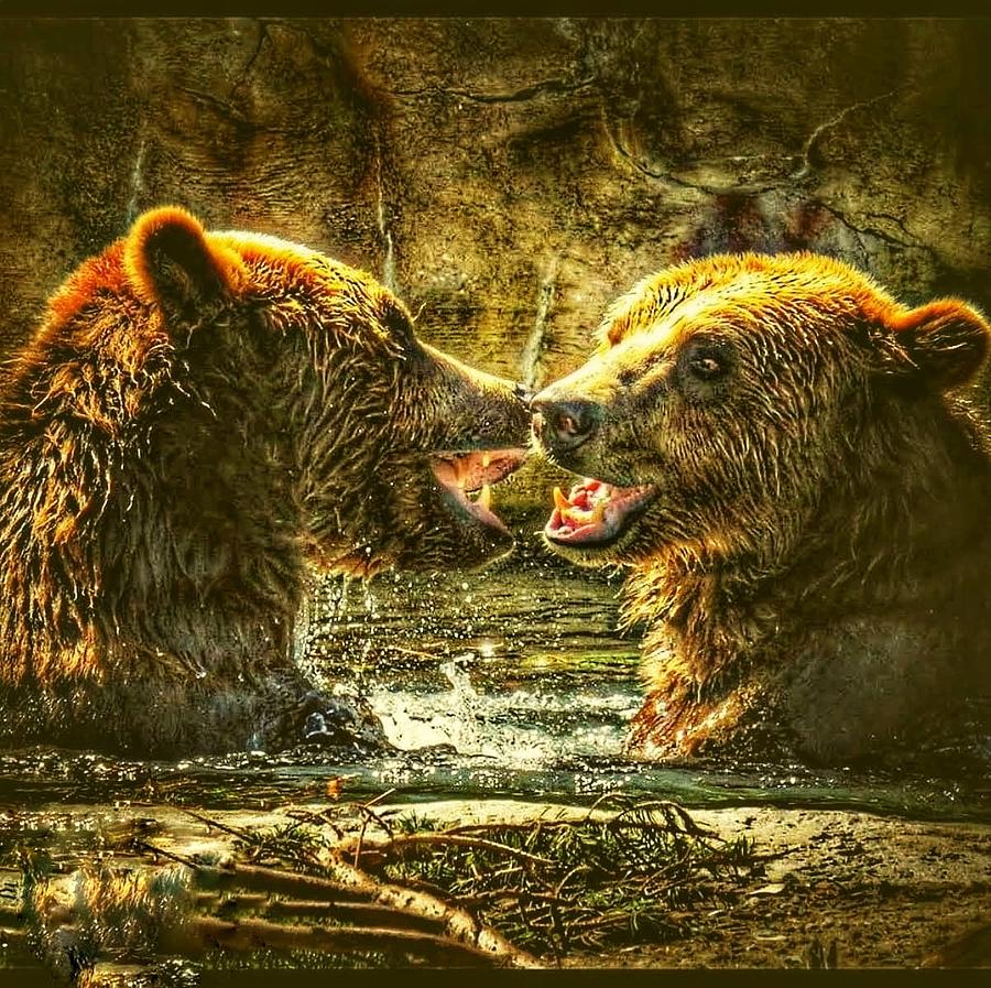 Bear Brothers Photograph by Judy Stepanian