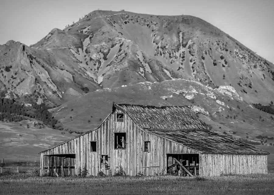 Bear Butte Barn Black And White Photograph by Dan Sproul Bear Butte Barn Black And White Photograph by Dan Sproul