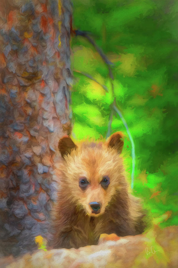 Bear Cub Art 9073 Digital Art