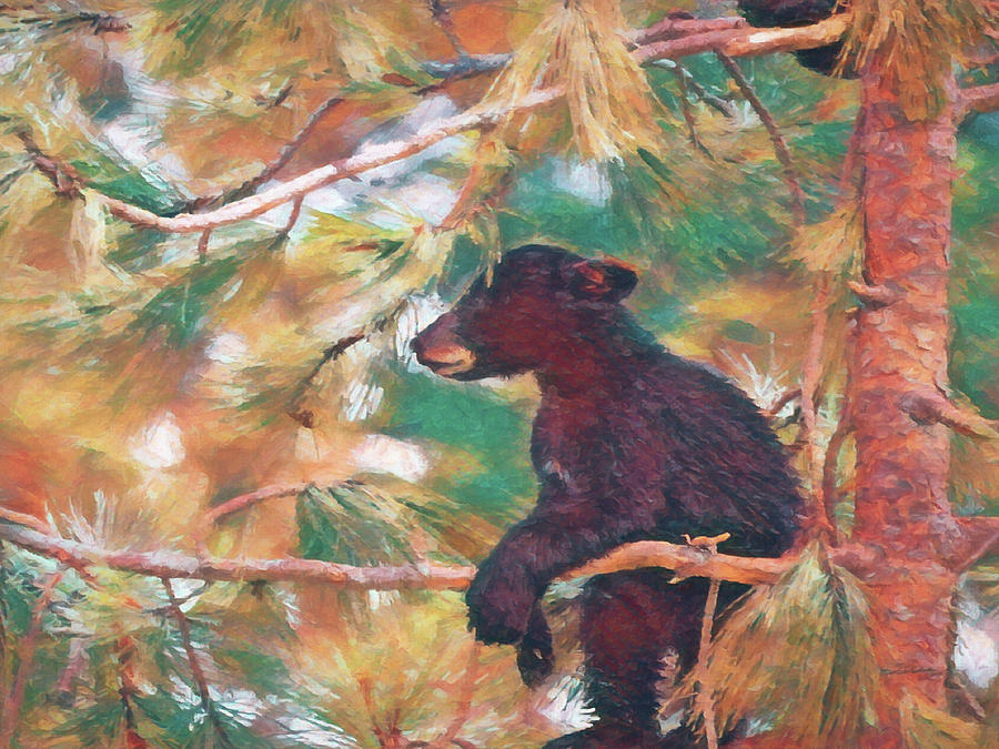 Bear Cub in Tree 2 DA Digital Art by Ernest Echols