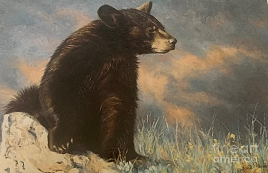 Bear Cub Painting By Nehemiah Art Fine Art America