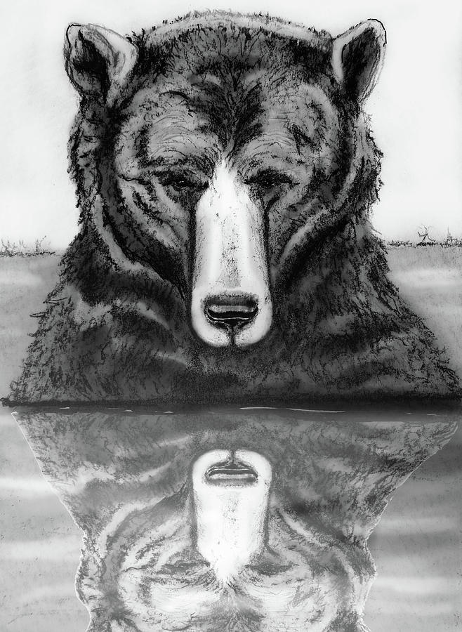 Bear Encounter Drawing by Judy Cuddehe