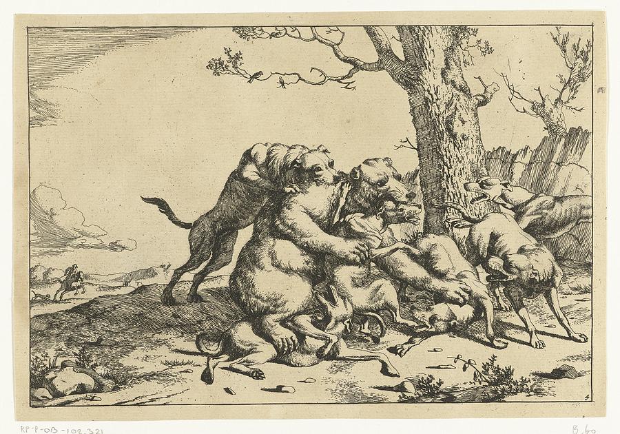 Bear Fighting Six Hunting Dogs, Marcus de Bye, after Paulus Potter, 1728 Painting by MotionAge Designs