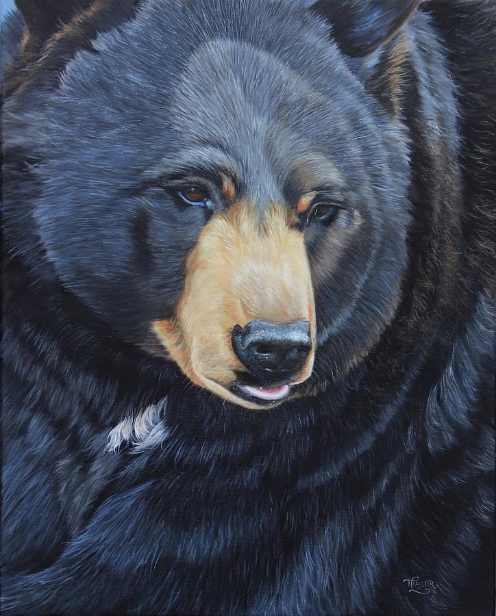 Bear Gaze Painting by Tammy Taylor