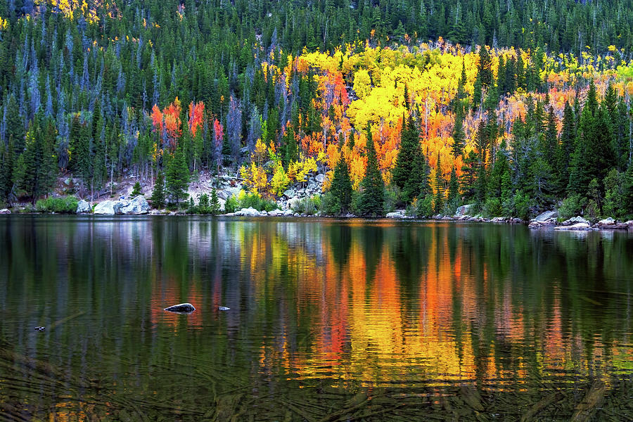 Bear lake 3  Photograph by Bitter Buffalo Photography