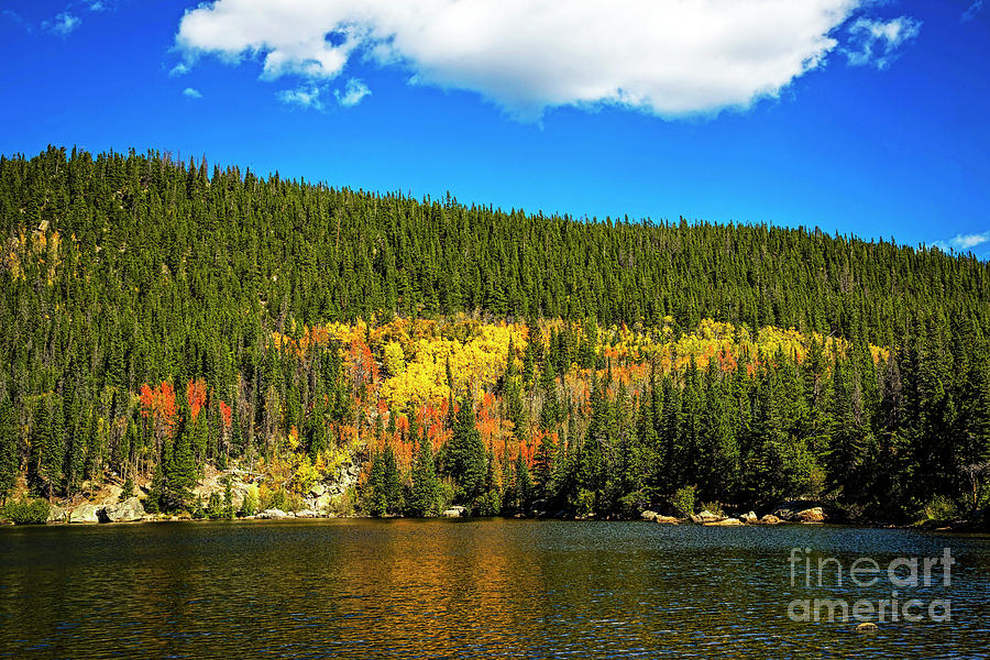 Bear Lake Autumn Colors 2019 Photograph by Jon Burch Photography