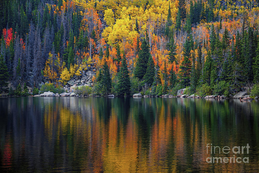 Bear Lake Autumn Reflections Photograph by Jon Burch Photography