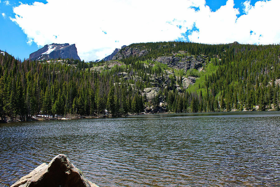 Bear Lake Photograph by Caitlin Loughry - Fine Art America