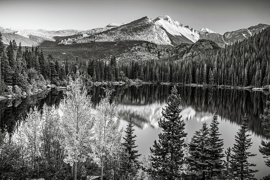 Bear Lake Reflections Of Longs Peak - Black And White Edition ...