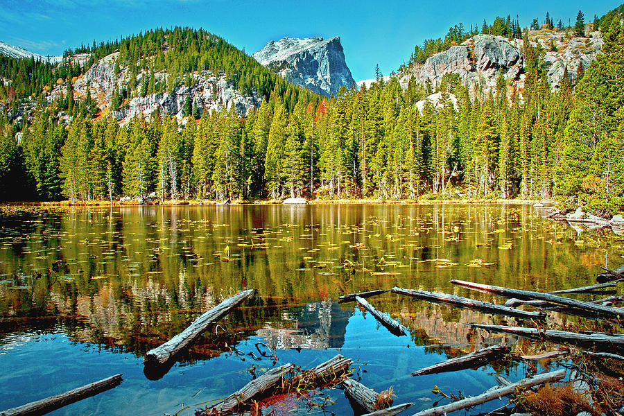 Bear Lake Rocky Mountain National Park Photograph by James Steele Bear Lake Rocky Mountain National Park Photograph by James Steele