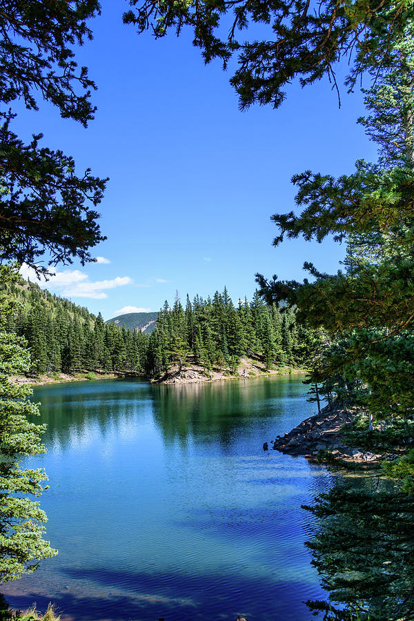 Bear Lake Through the Pines - Colorado Photograph by Debra Martz