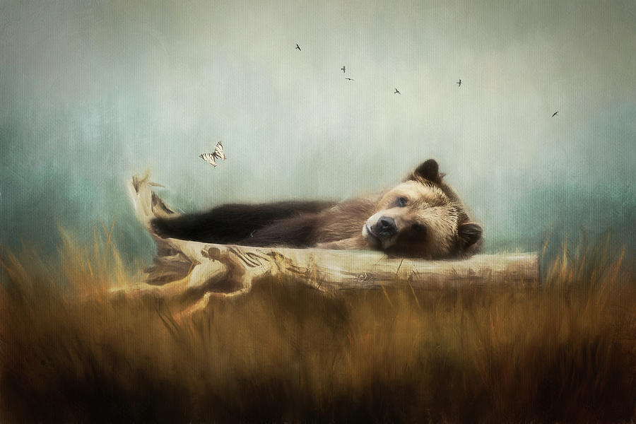 Bear on a Log Photograph by Deborah Penland