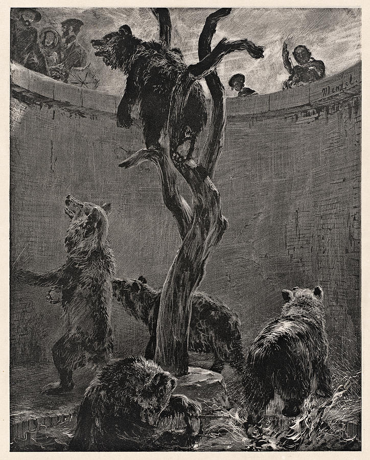 Bear Pit in Zoo Drawing by Adolph Menzel