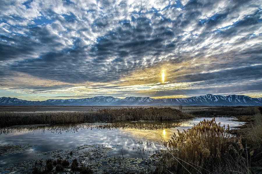 Bear River Bird Refuse at Sunrise Photograph by John Wilbur Bear River Bird Refuse at Sunrise Photograph by John Wilbur