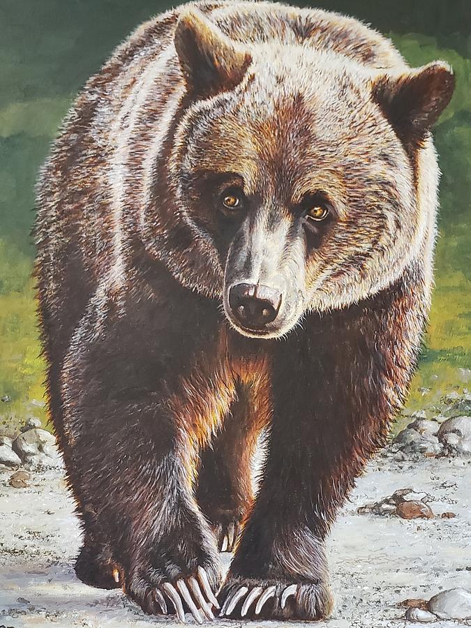 Bear  Painting by Sabina Bonifazi