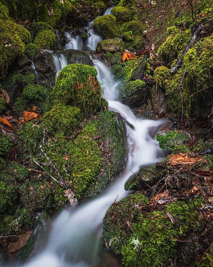 Bear Waterfalll Photograph