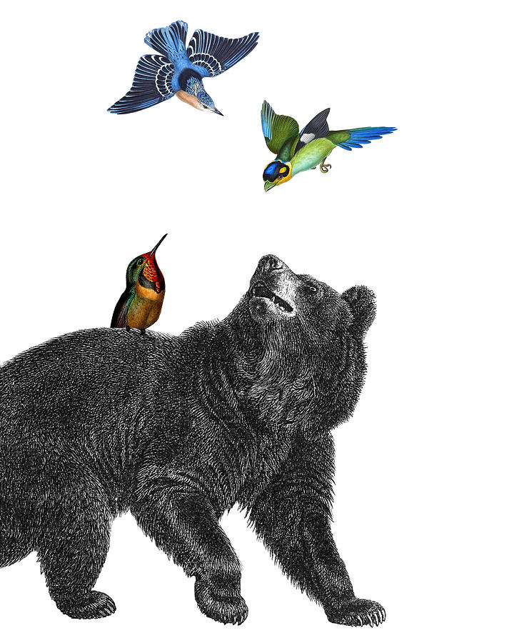 Bird Digital Art - Bear with birds antique illustration by Madame Memento