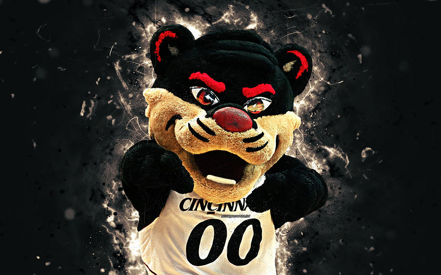 Bearcat 4k mascot Cincinnati Bearcats basketball abstract art creative ...