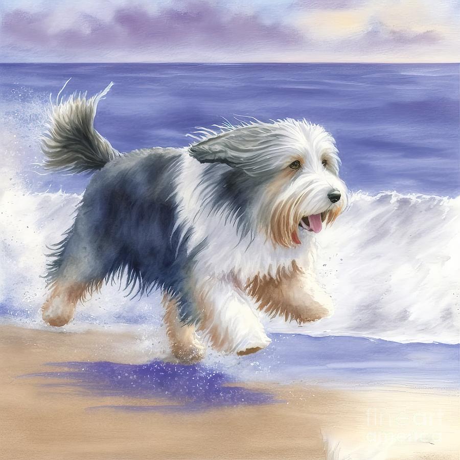 Summer Painting - Bearded Collie At Beach by N Akkash