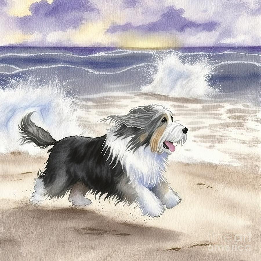 Summer Painting - Bearded Collie Running At Beach by N Akkash