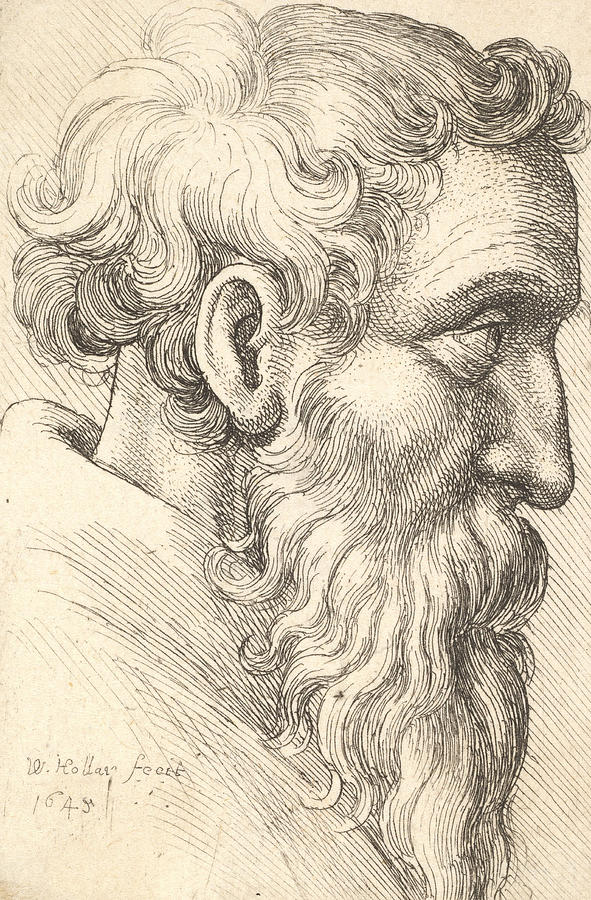 Bearded Old Man in Profile to Right Relief by Wenceslaus Hollar