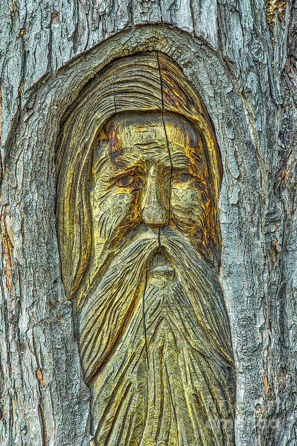 Bearded Old Man Tree Carving Photograph by Randy Steele