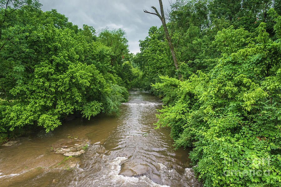 Beargrass Creek - Cherokee Park - Louisville - Kentucky Photograph by Gary Whitton