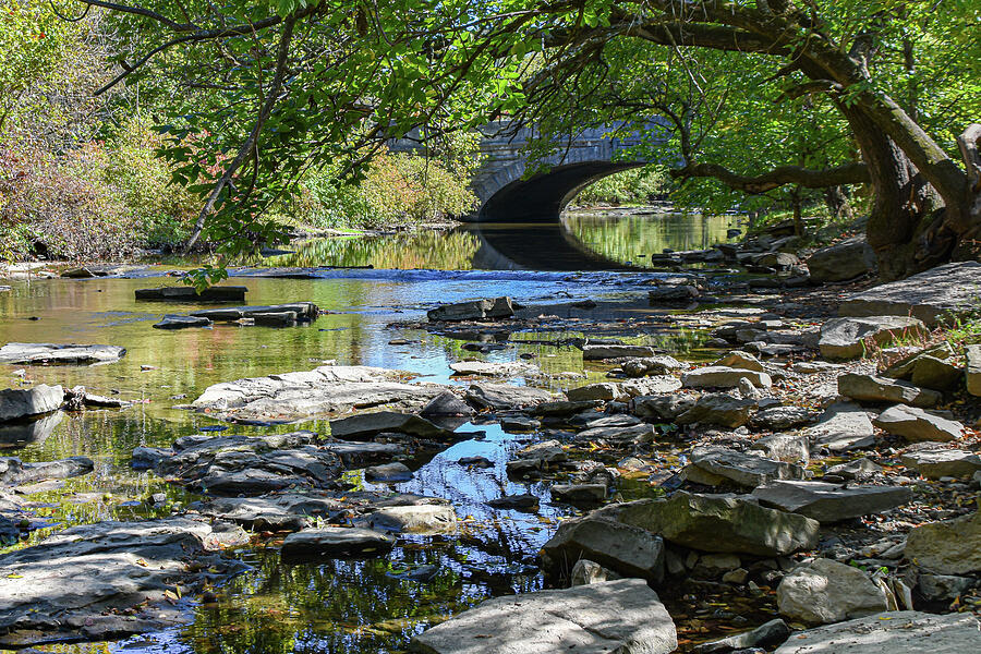 Beargrass Creek in Louisvilles Cherokee Park Photograph by Mike Worley Beargrass Creek in Louisvilles Cherokee Park Photograph by Mike Worley