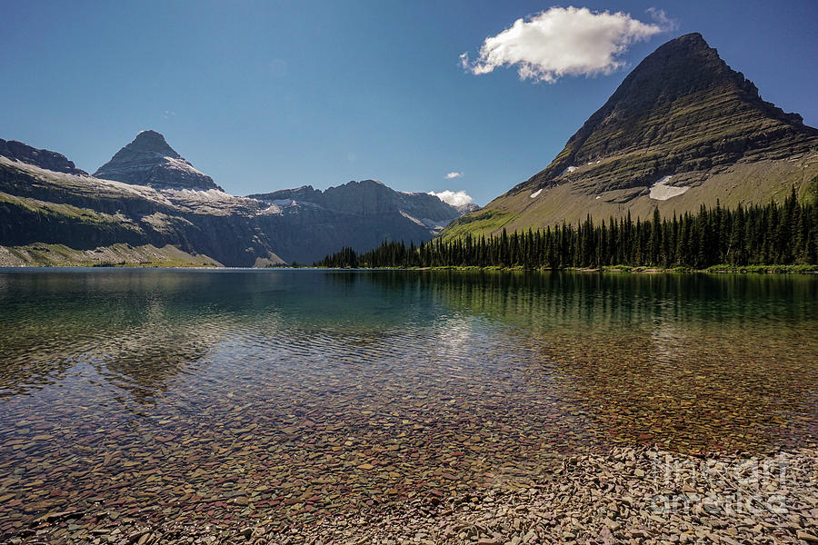Glacier National Park Photograph - Bearhat Mountain from the Shore of Hidden Lake by Nancy Gleason