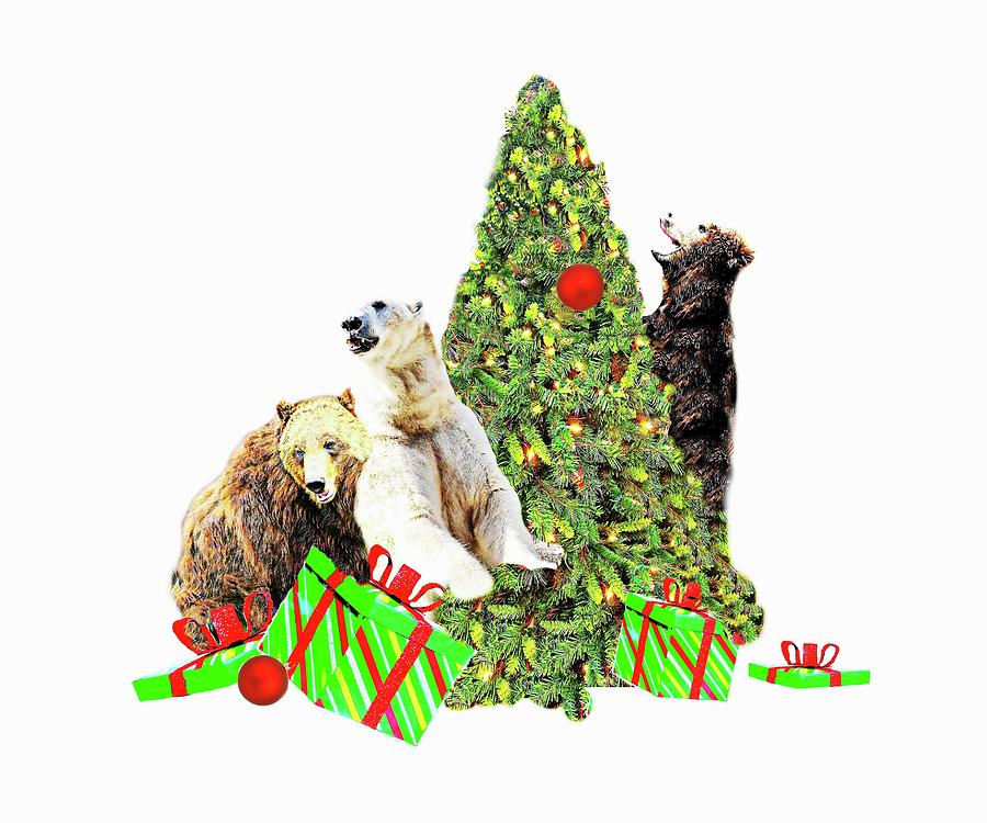 Bearly Christmas Photograph by Diana Angstadt