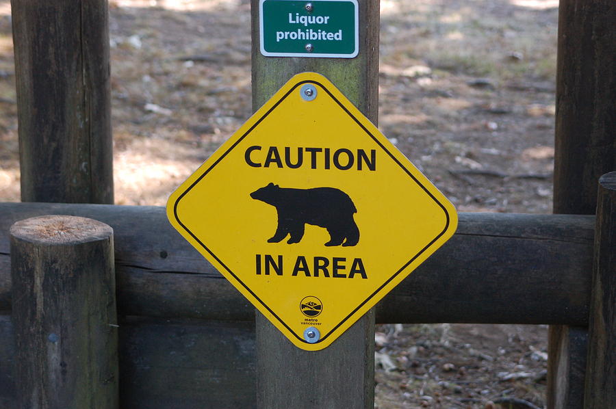 Bears and Liquor Photograph by James Cousineau - Fine Art America